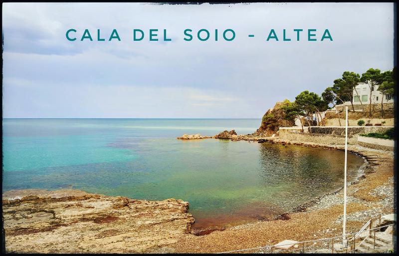 Altea Flying Whale - image 33