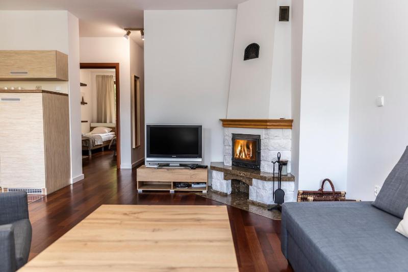 Deluxe One Bedroom Apartment with Balcony and Mountain View image 4