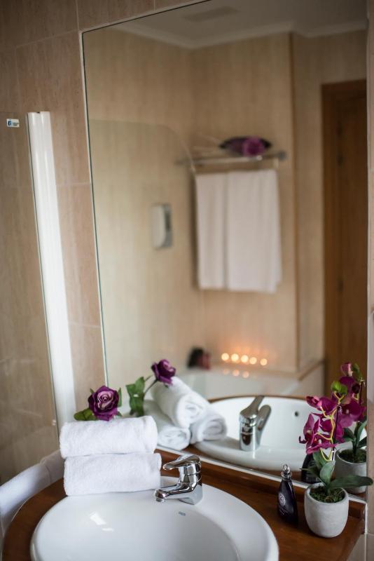 Double or Twin Room image 3
