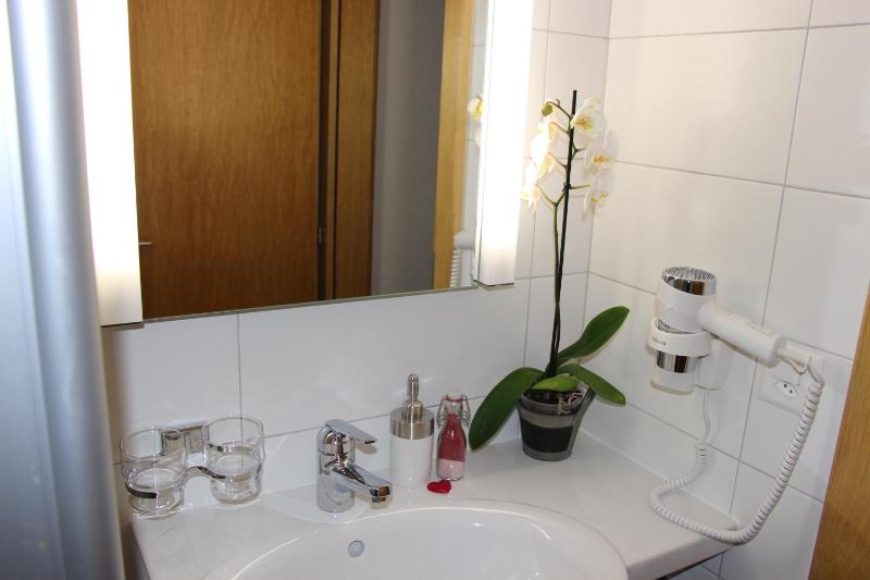 Apartment with Mountain View image 4