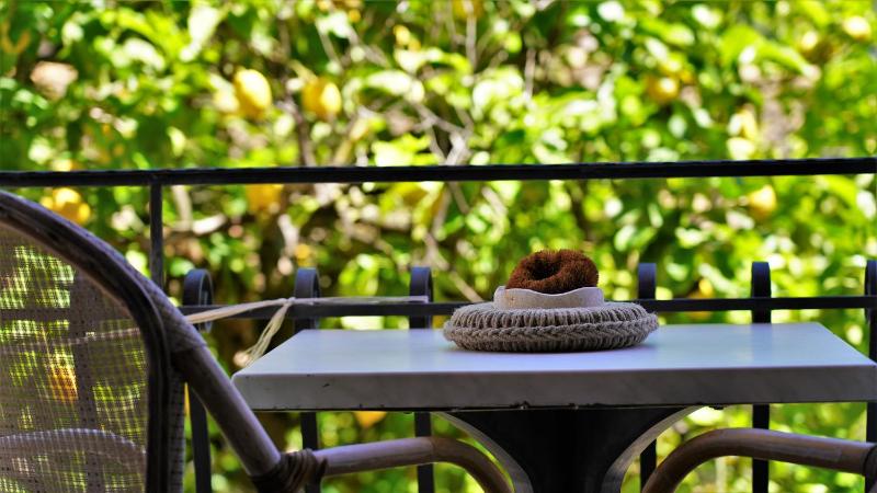 Hotel Tourist - image 8