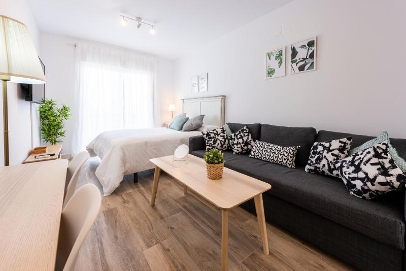 Apartamentos Toboso Plaza - image 22