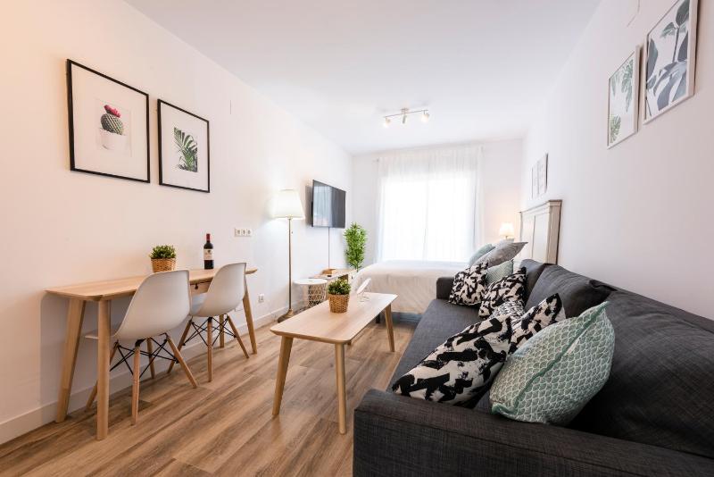 Apartamentos Toboso Plaza - image 50