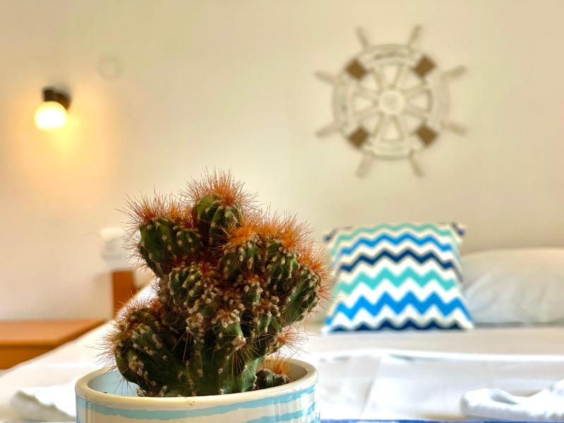 Garden House Budva - image 8