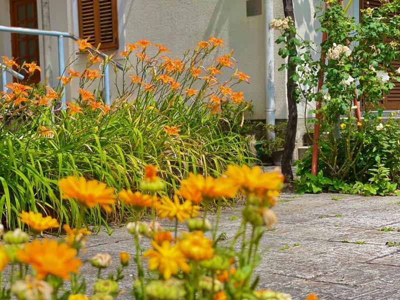 Garden House Budva - image 14