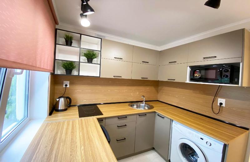 One-Bedroom Apartment image 2