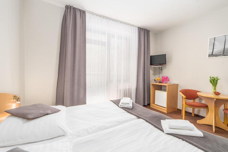Standard Twin Room image 3