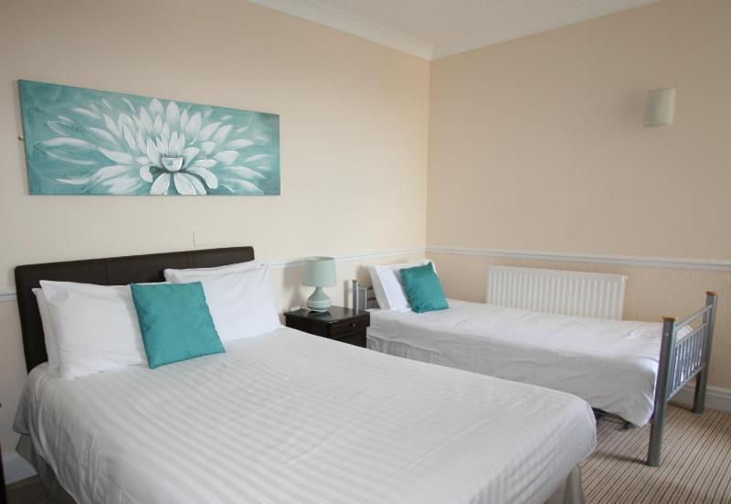 Standard Family Room image 4