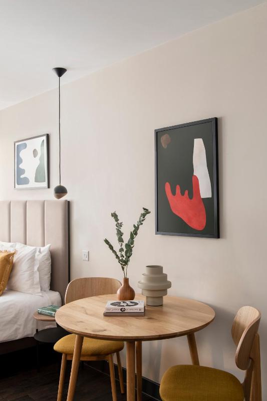 Large Studio Apartment  image 4