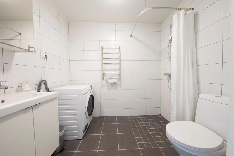 One-Bedroom Apartment image 3