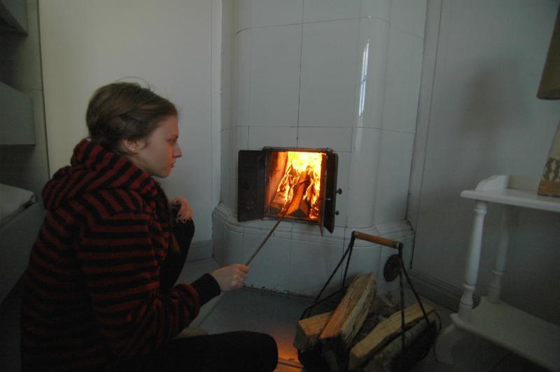 Large One-Bedroom Apartment image 4