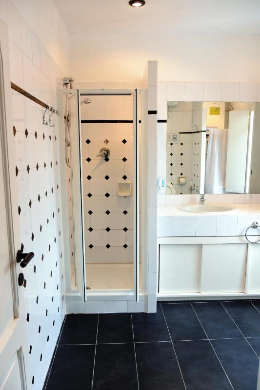 Large Two-Bedroom Apartment image 4