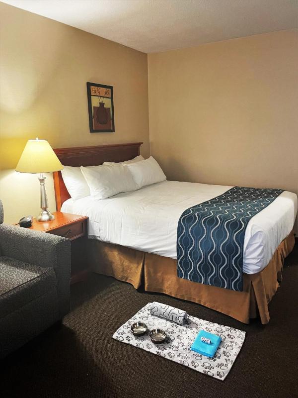 Welcominns Hotel Ottawa - image 3