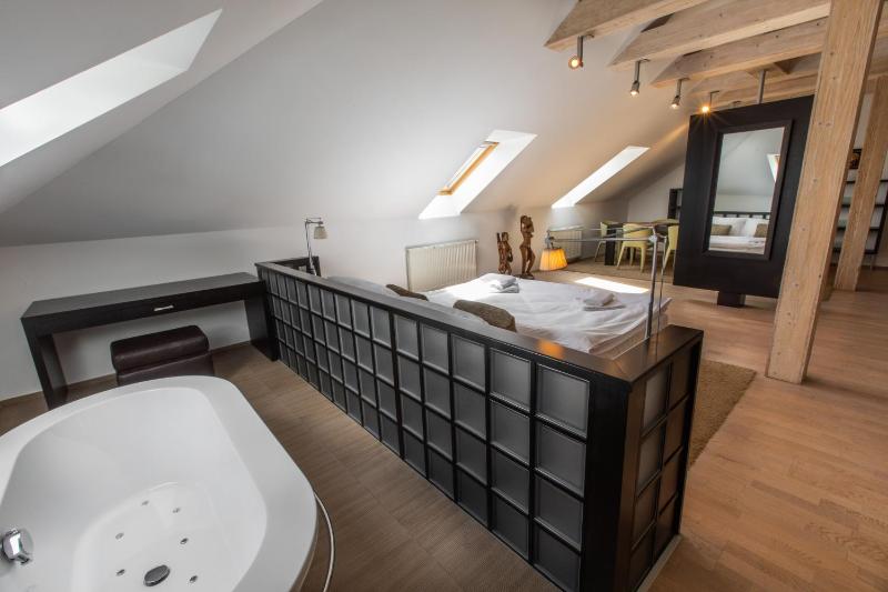 Deluxe Suite image 4