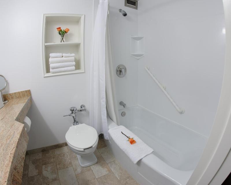 Deluxe Queen Room image 2