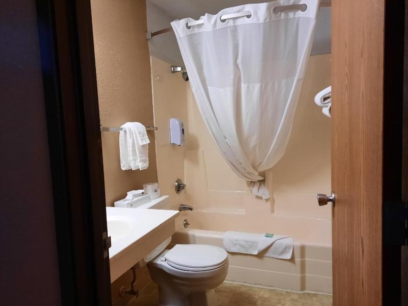 King Room - Non-Smoking/Pet-Friendly image 2