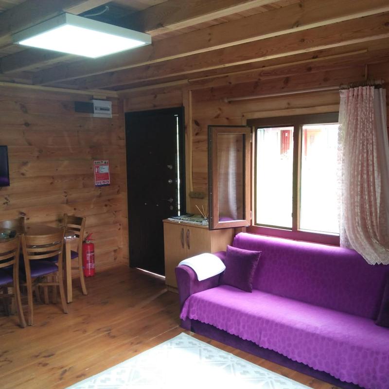 Apartment - Split Level image 2