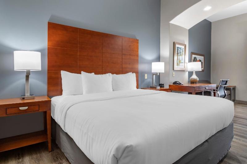 King Room - Accessible/Non-Smoking image 4