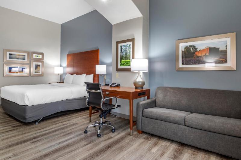 King Room - Accessible/Non-Smoking image 2