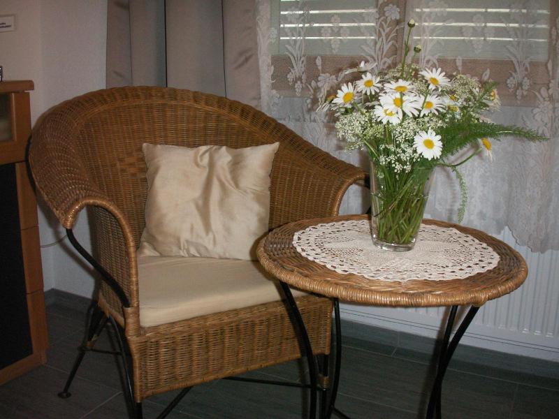 Double or Twin Room image 4