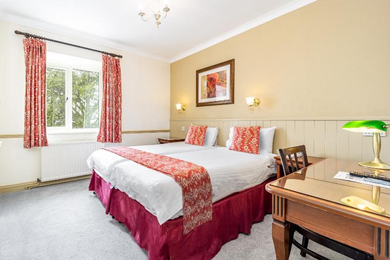Standard Twin Room image 4
