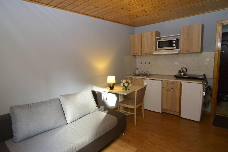 One-Bedroom Apartment image 2