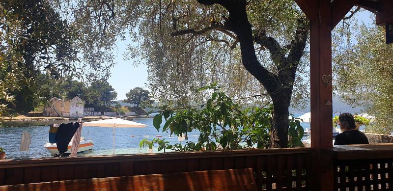 One-Bedroom Apartment image 1