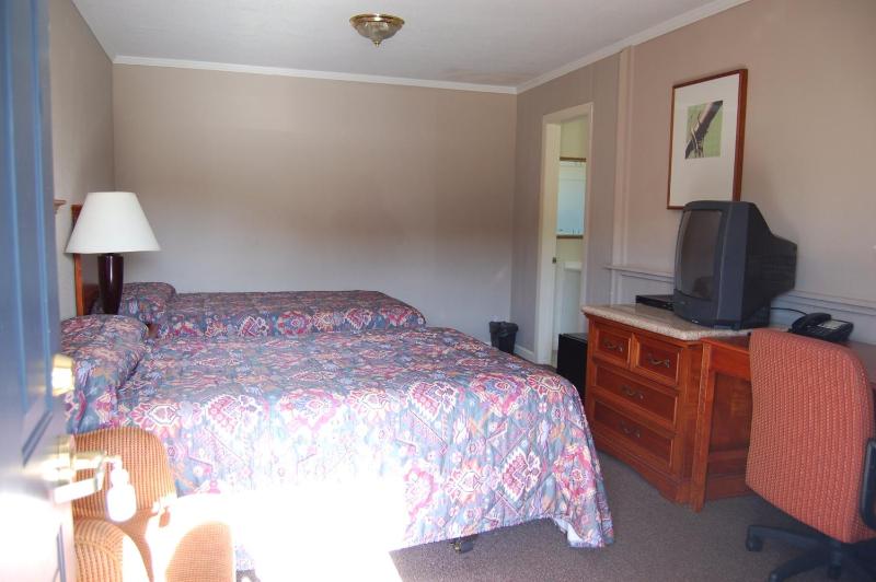 Deluxe Family Suite image 3