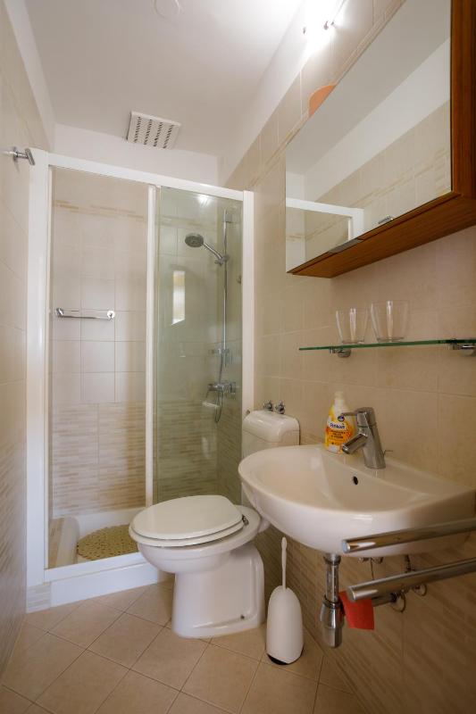 One-Bedroom Apartment image 4