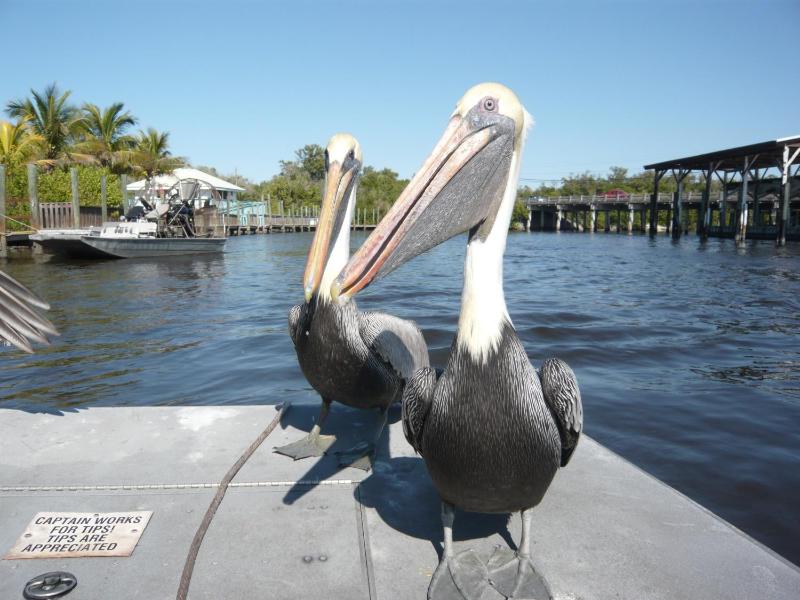 Villa Cape Florida - image 13
