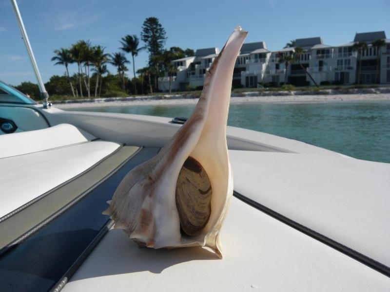 Villa Cape Florida - image 31