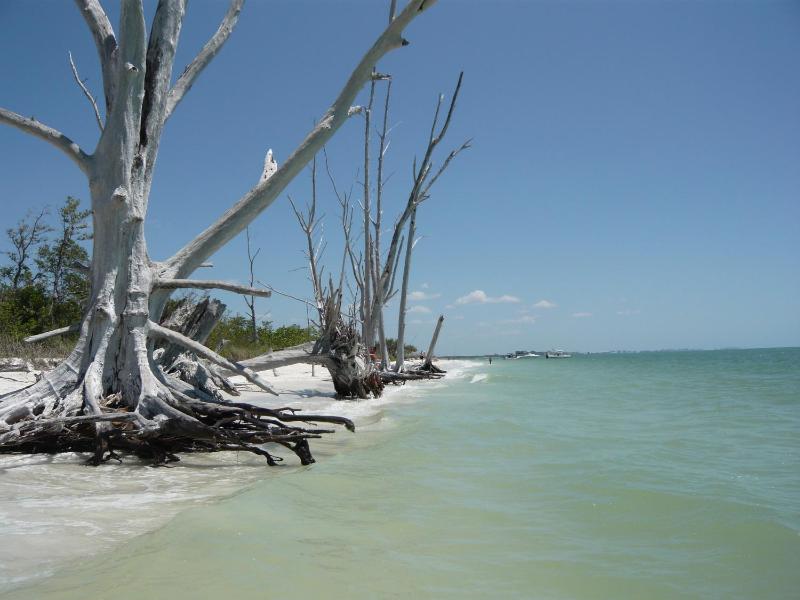 Villa Cape Florida - image 35