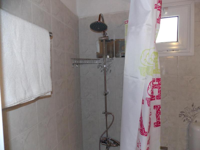 One-Bedroom Apartment image 4