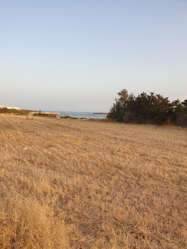 Ikaria Village Maisonette 12 - image 14