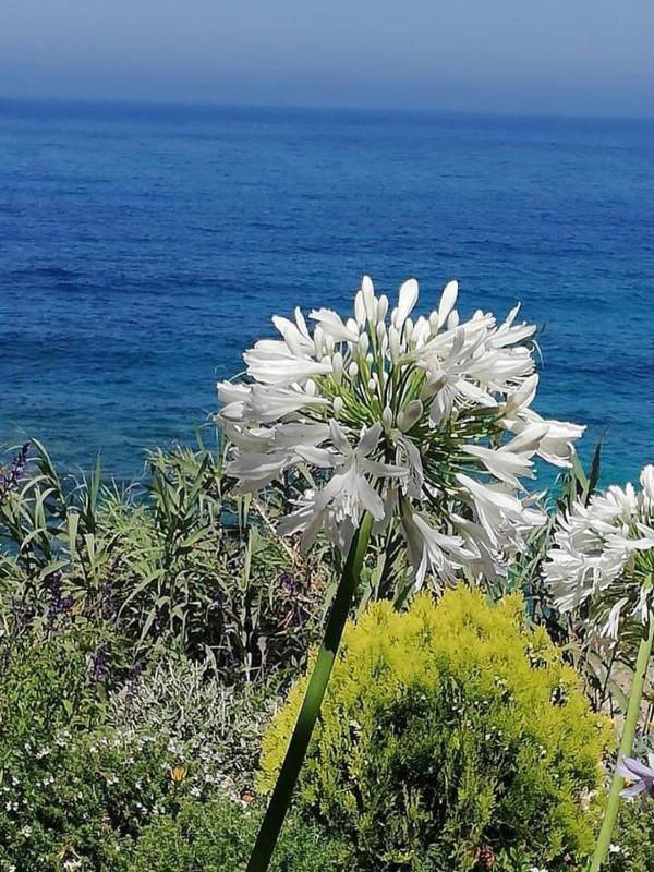 Ikaria Village Maisonette 12 - image 8