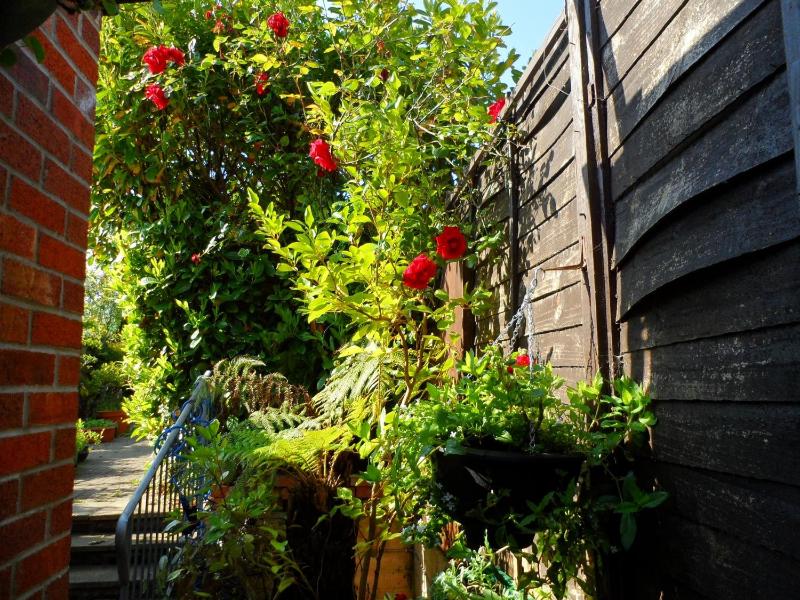 Galway Guest House - image 9