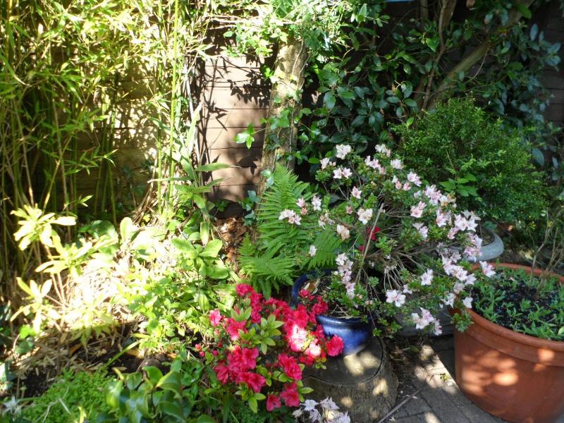 Galway Guest House - image 14