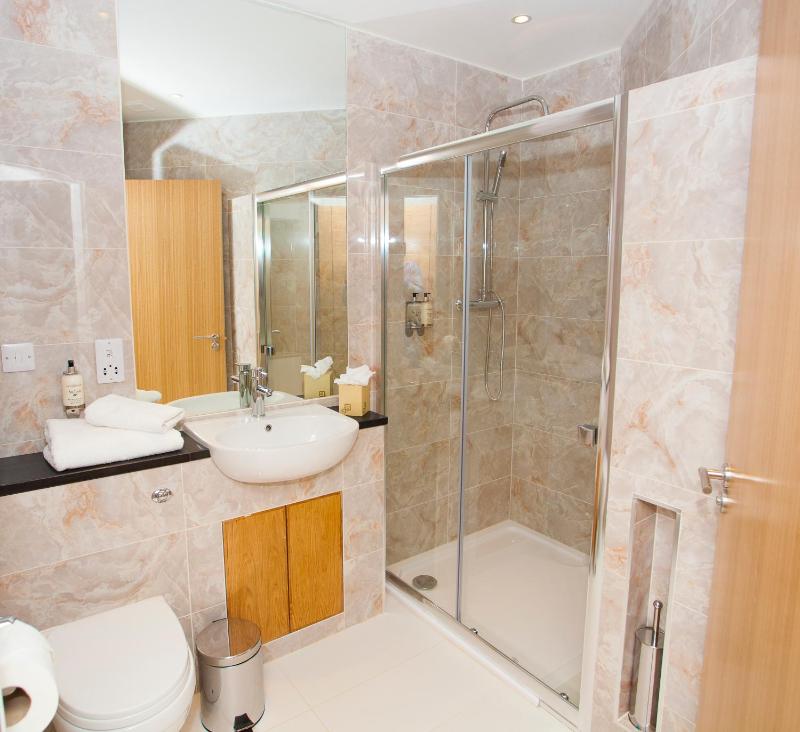 Studio Apartment image 1
