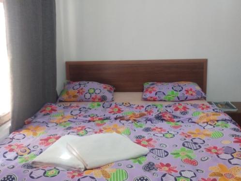One-Bedroom Apartment image 1