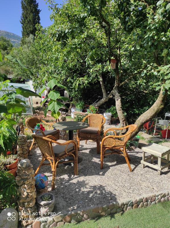 Studio with Garden View image 3