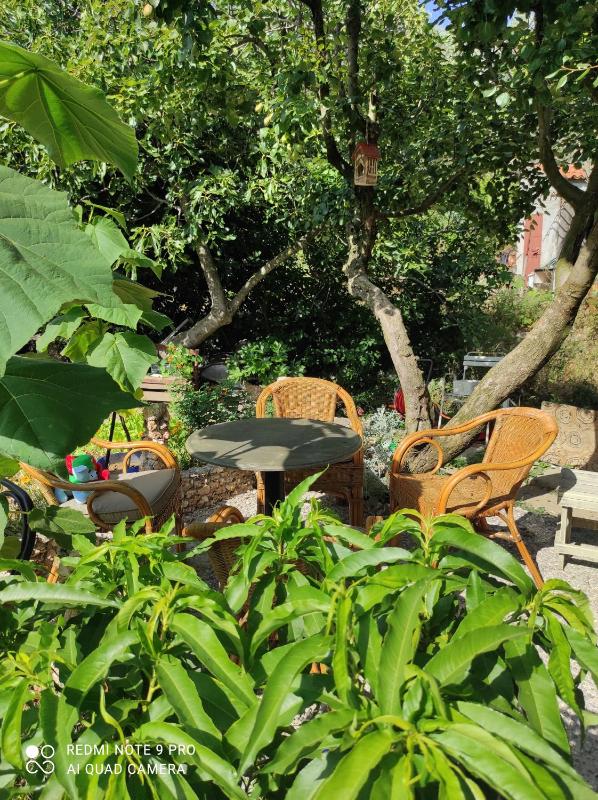 Studio with Garden View image 2