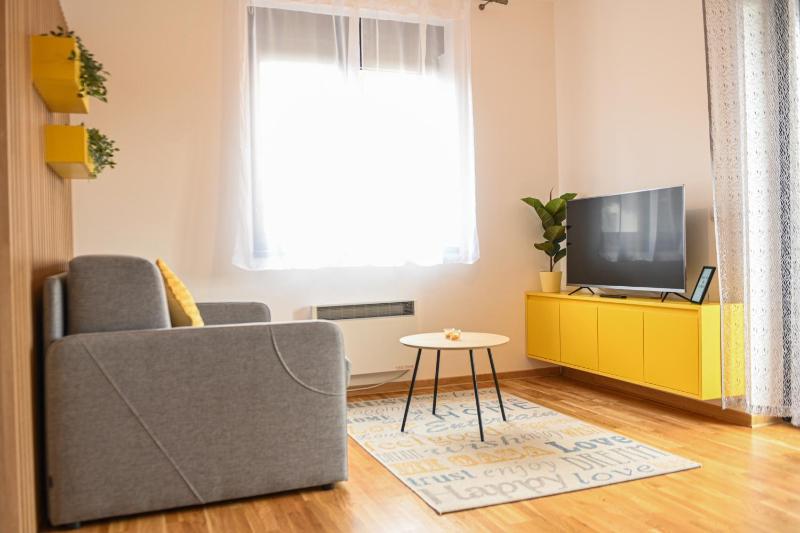 One-Bedroom Apartment image 3