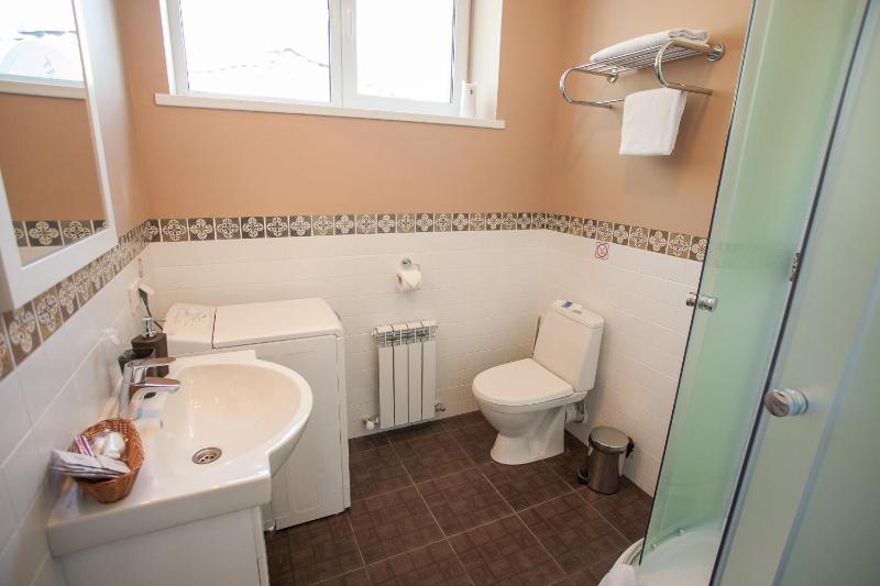 One-Bedroom Apartment image 4