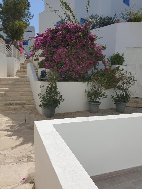 Ikaria Village Maisonette 12 - image 16