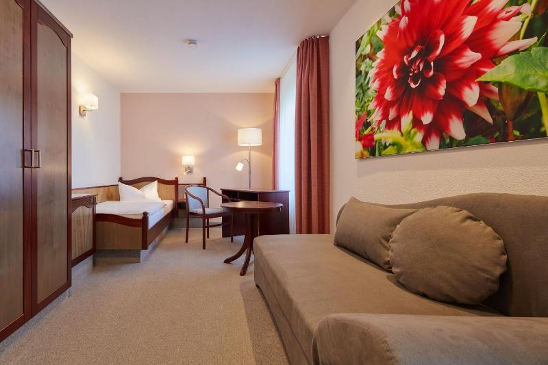 Large Single Room image 1