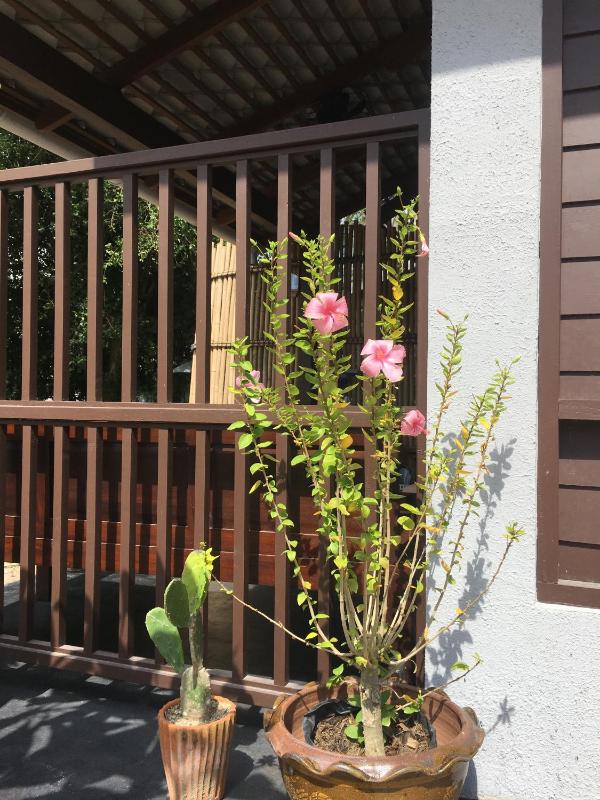 Jasmine & Tea House - image 34
