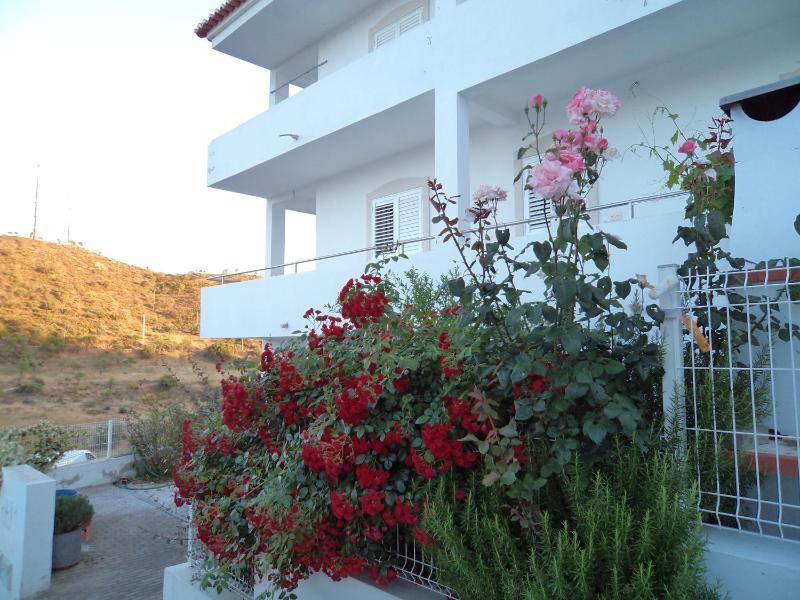 Double Room with Balcony and Sea View image 2