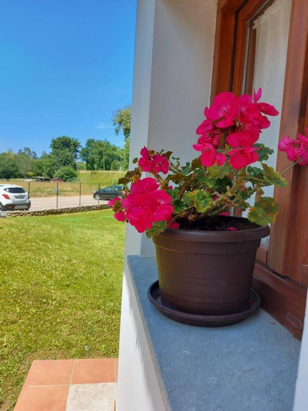Double Room with Patio image 1