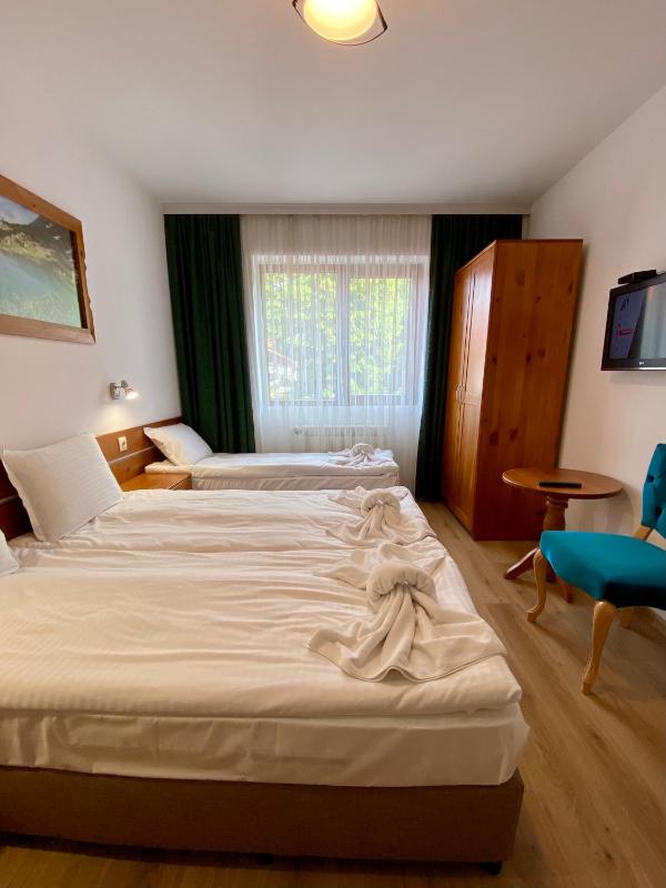Edelweiss Central Hotel - image 16