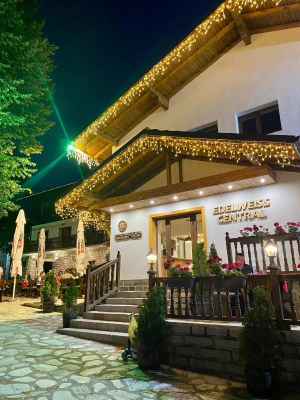 Edelweiss Central Hotel - image 1